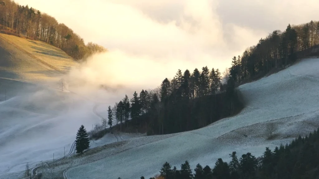 szczawnica przewodnik